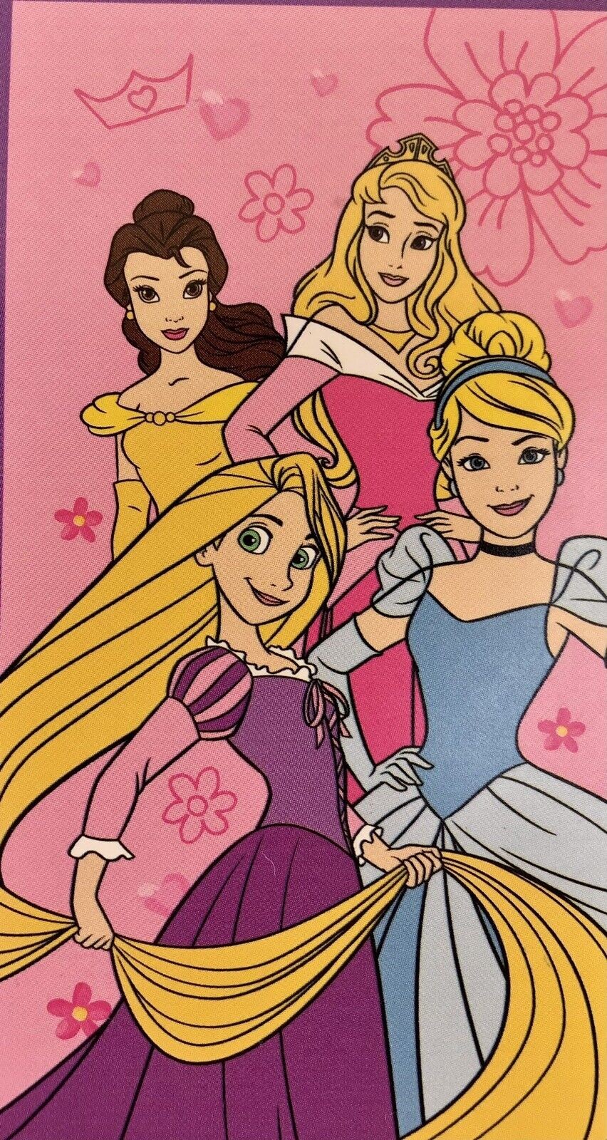 Principesse - Telo Mare in spugna Hermet Disney 70x140